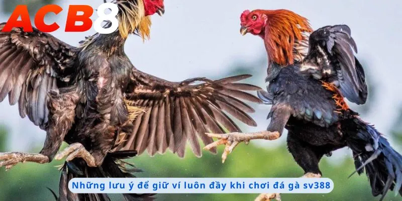 Những lưu ý để giữ ví đầy