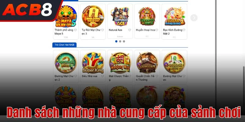 Danh sách những nhà cung cấp của sảnh chơi