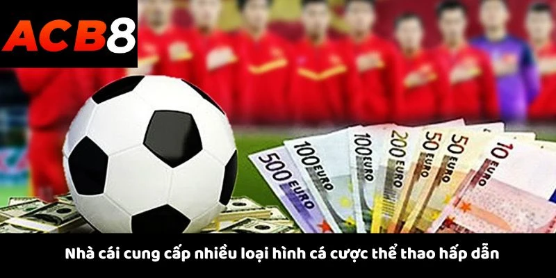 Nhà cái cung cấp nhiều loại hình cá cược thể thao hấp dẫn